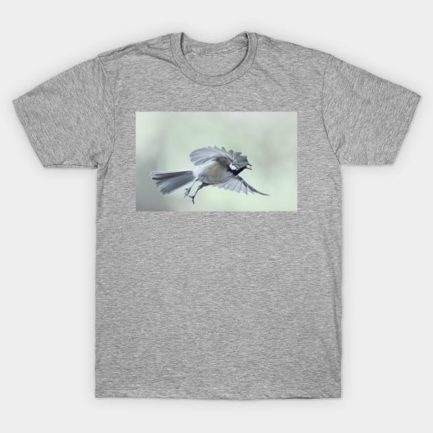Chickadee T-Shirt by LaurieMinor